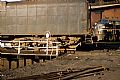 ATSF 5034